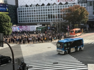 Bus Shibuya Kreuzung