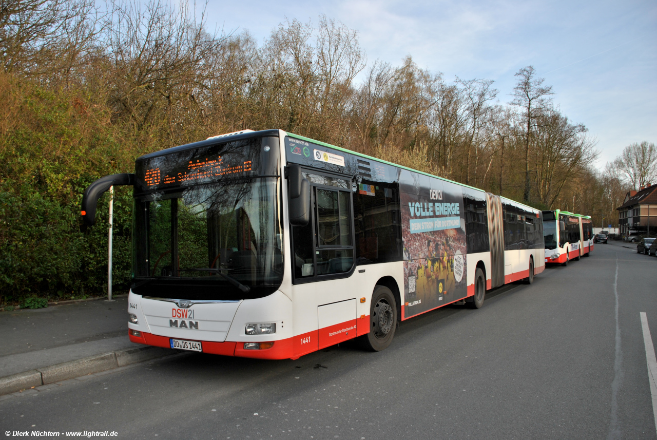 1441 (DO DS 1441) · Derne Am Wittfeld