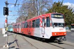 8454 · Clemens-August-Straße