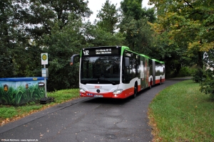 1487 (DO DS 1487) · Singschwanenweg