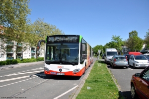 1105 (DO DS 1105) · An der Palmweide, Wendeplatz