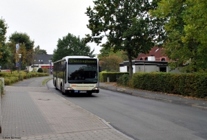 0901 (HH BR 1051) · Sachsenwald - EKZ