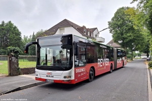 1451 (DO DS 1451) · Husen